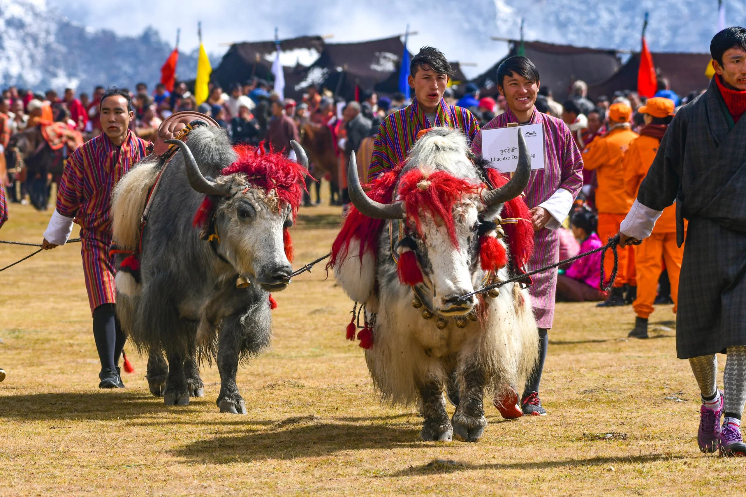 Royal Highland Festival