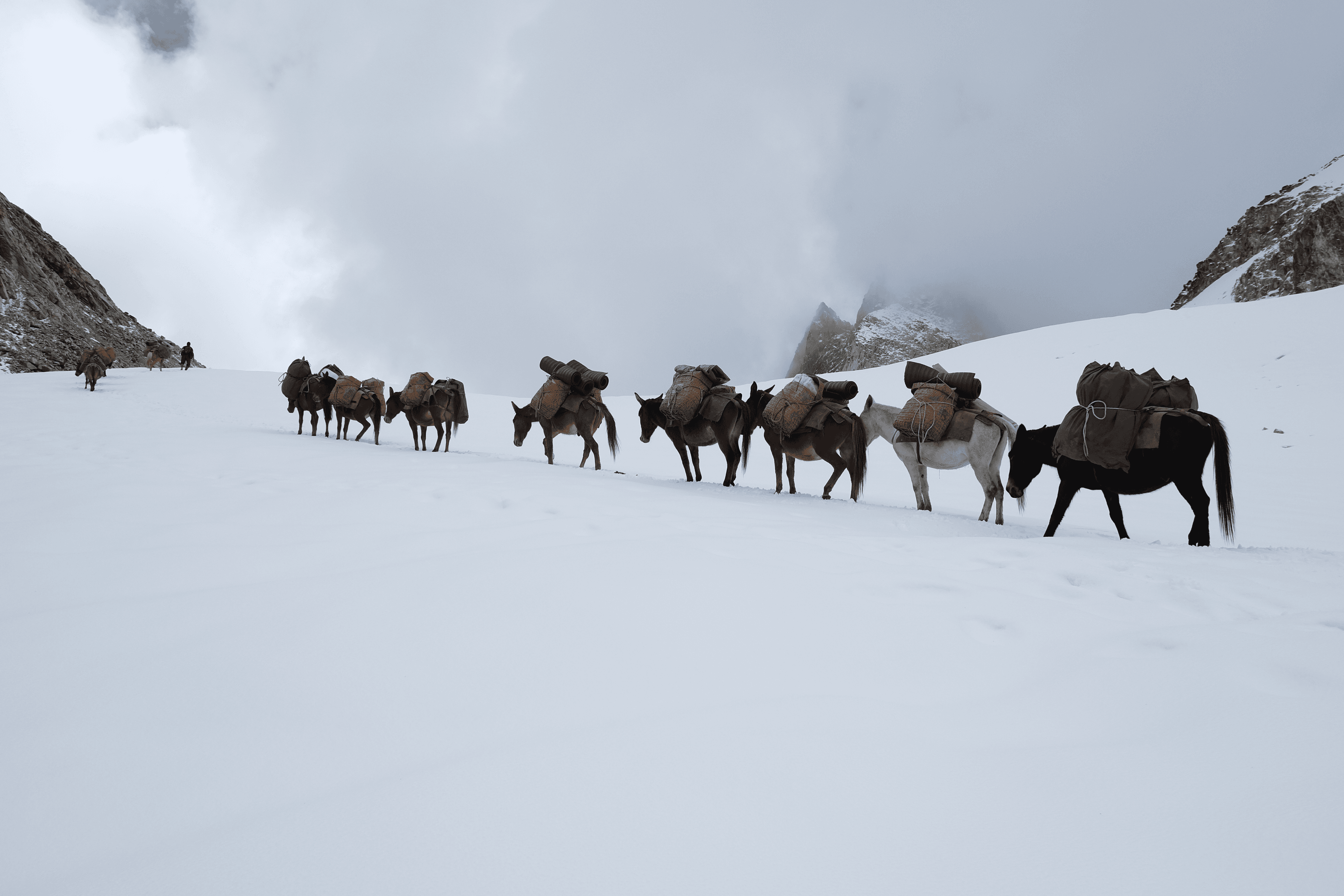 Legendary Snowman Trek